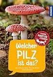 Welcher Pilz ist das?...